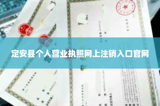 定安县个人营业执照网上注销入口官网