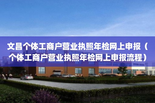 文昌个体工商户营业执照年检网上申报（个体工商户营业执照年检网上申报流程）