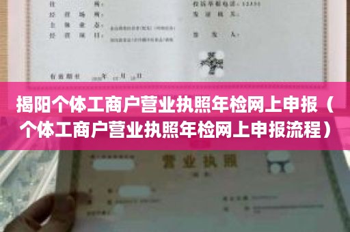揭阳个体工商户营业执照年检网上申报（个体工商户营业执照年检网上申报流程）