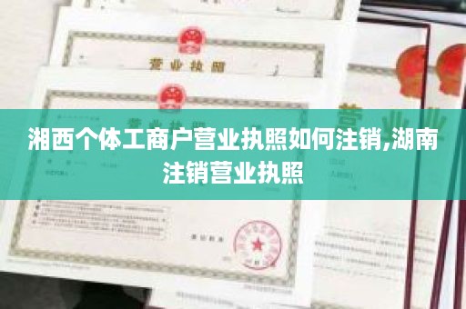 湘西个体工商户营业执照如何注销,湖南注销营业执照