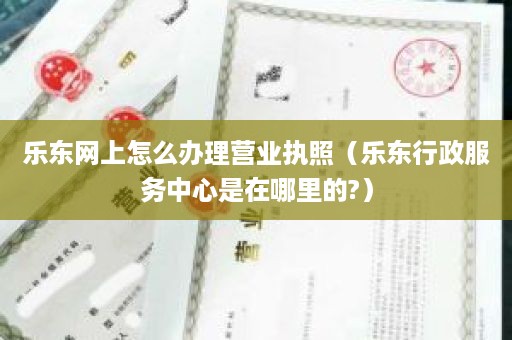 乐东网上怎么办理营业执照（乐东行政服务中心是在哪里的?）