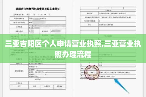 三亚吉阳区个人申请营业执照,三亚营业执照办理流程
