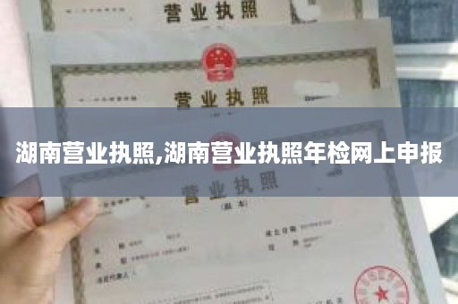 湖南营业执照,湖南营业执照年检网上申报