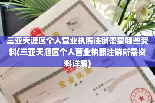 三亚天涯区个人营业执照注销需要哪些资料(三亚天涯区个人营业执照注销所需资料详解)