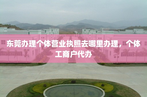 东莞办理个体营业执照去哪里办理，个体工商户代办