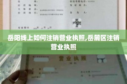 岳阳线上如何注销营业执照,岳麓区注销营业执照
