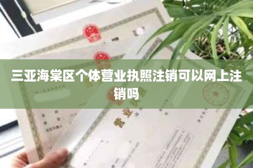 三亚海棠区个体营业执照注销可以网上注销吗