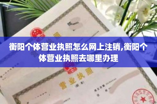 衡阳个体营业执照怎么网上注销,衡阳个体营业执照去哪里办理