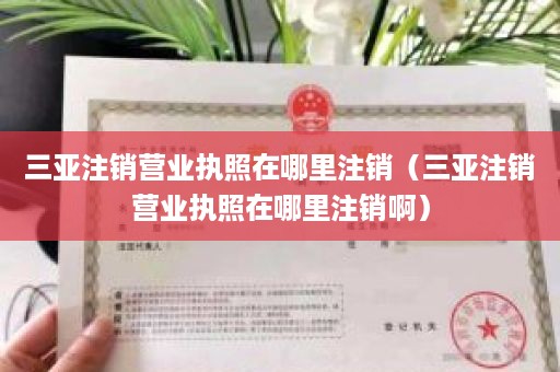 三亚注销营业执照在哪里注销（三亚注销营业执照在哪里注销啊）