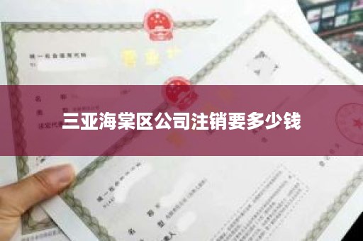 三亚海棠区公司注销要多少钱