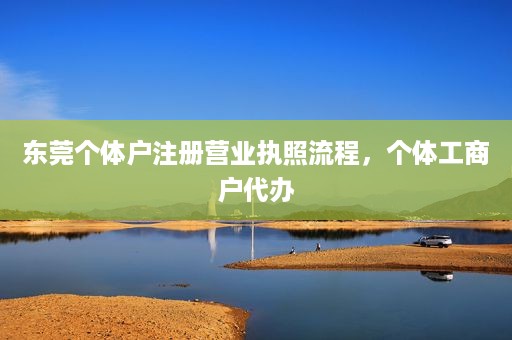 东莞个体户注册营业执照流程，个体工商户代办