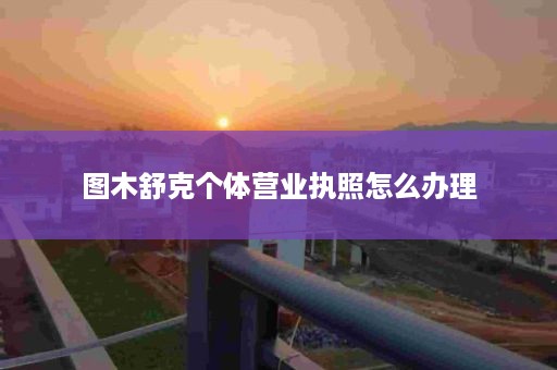 图木舒克个体营业执照怎么办理