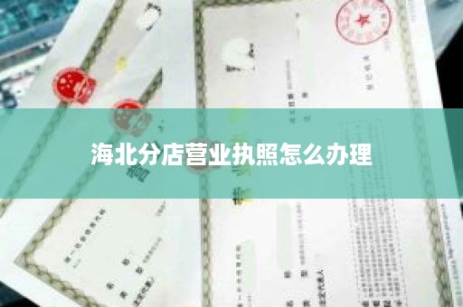 海北分店营业执照怎么办理