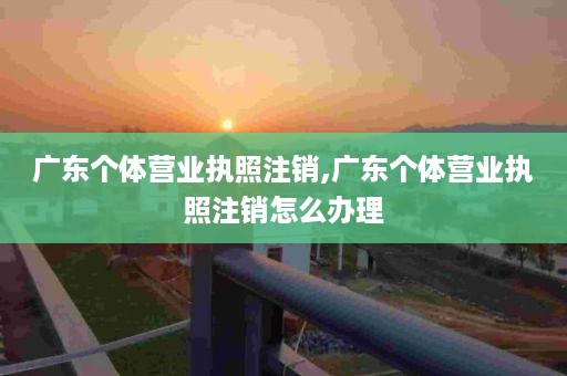 广东个体营业执照注销,广东个体营业执照注销怎么办理