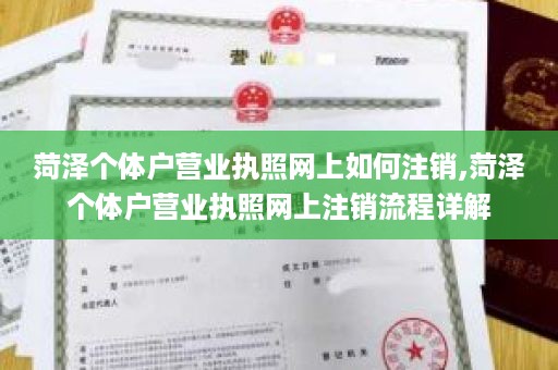 菏泽个体户营业执照网上如何注销,菏泽个体户营业执照网上注销流程详解