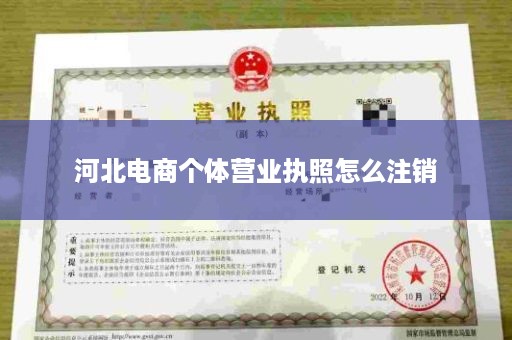 河北电商个体营业执照怎么注销