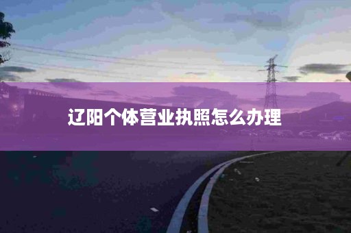 辽阳个体营业执照怎么办理