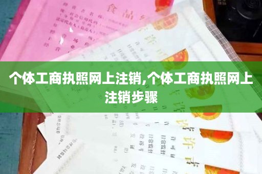 个体工商执照网上注销,个体工商执照网上注销步骤