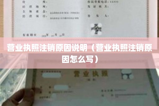 营业执照注销原因说明（营业执照注销原因怎么写）