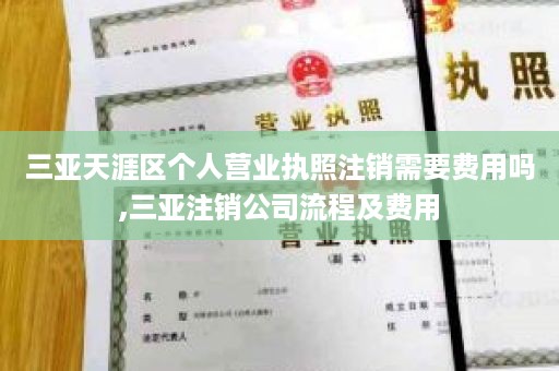三亚天涯区个人营业执照注销需要费用吗,三亚注销公司流程及费用