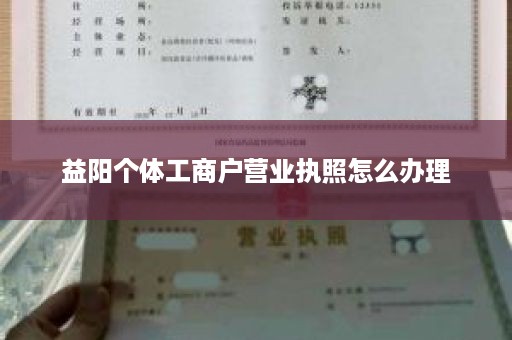 益阳个体工商户营业执照怎么办理