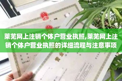 莱芜网上注销个体户营业执照,莱芜网上注销个体户营业执照的详细流程与注意事项