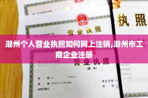 潮州个人营业执照如何网上注销,潮州市工商企业注册