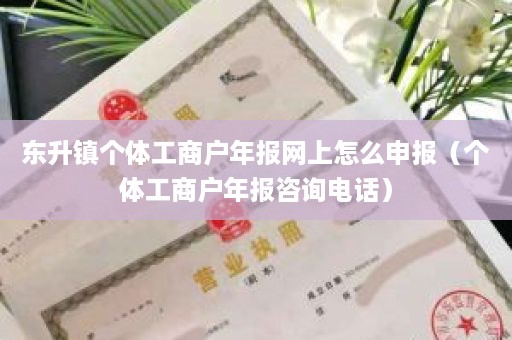 东升镇个体工商户年报网上怎么申报（个体工商户年报咨询电话）