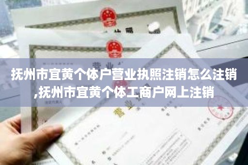 抚州市宜黄个体户营业执照注销怎么注销,抚州市宜黄个体工商户网上注销