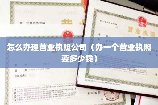 怎么办理营业执照公司（办一个营业执照要多少钱）