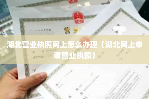 湖北营业执照网上怎么办理（湖北网上申请营业执照）