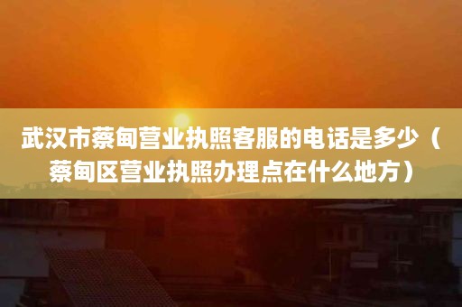 武汉市蔡甸营业执照客服的电话是多少（蔡甸区营业执照办理点在什么地方）