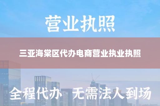 三亚海棠区代办电商营业执业执照
