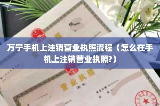 万宁手机上注销营业执照流程（怎么在手机上注销营业执照?）