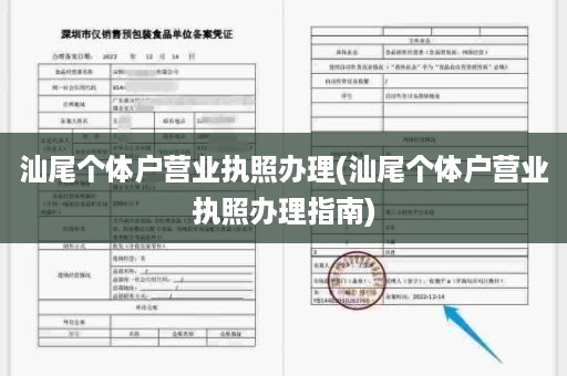 汕尾个体户营业执照办理(汕尾个体户营业执照办理指南)