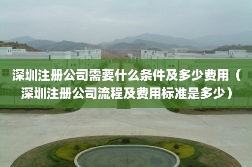 深圳注册公司需要什么条件及多少费用（深圳注册公司流程及费用标准是多少）