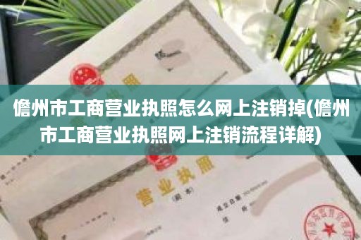 儋州市工商营业执照怎么网上注销掉(儋州市工商营业执照网上注销流程详解)