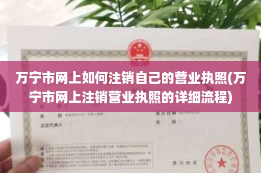 万宁市网上如何注销自己的营业执照(万宁市网上注销营业执照的详细流程)