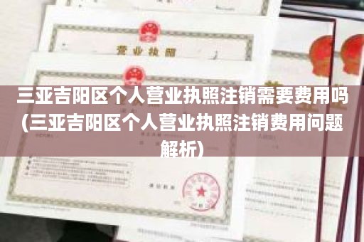 三亚吉阳区个人营业执照注销需要费用吗(三亚吉阳区个人营业执照注销费用问题解析)