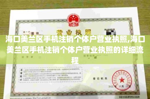 海口美兰区手机注销个体户营业执照,海口美兰区手机注销个体户营业执照的详细流程