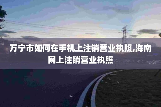 万宁市如何在手机上注销营业执照,海南网上注销营业执照