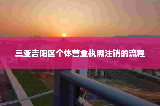 三亚吉阳区个体营业执照注销的流程