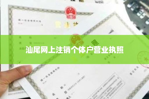 汕尾网上注销个体户营业执照