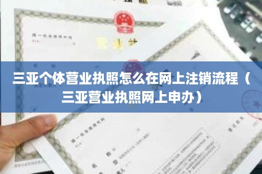 三亚个体营业执照怎么在网上注销流程（三亚营业执照网上申办）