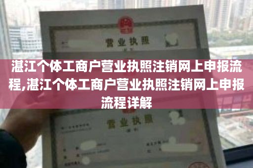 湛江个体工商户营业执照注销网上申报流程,湛江个体工商户营业执照注销网上申报流程详解
