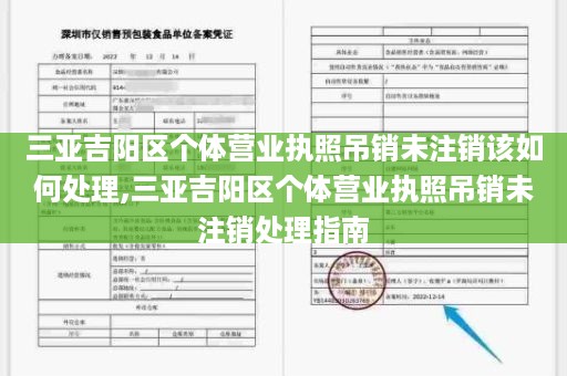 三亚吉阳区个体营业执照吊销未注销该如何处理,三亚吉阳区个体营业执照吊销未注销处理指南