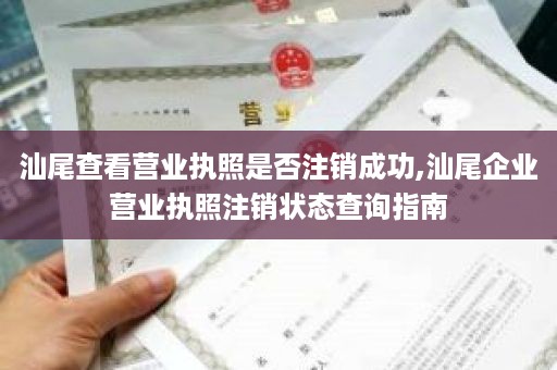 汕尾查看营业执照是否注销成功,汕尾企业营业执照注销状态查询指南