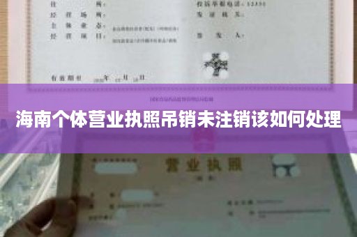 海南个体营业执照吊销未注销该如何处理