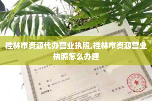 桂林市资源代办营业执照,桂林市资源营业执照怎么办理