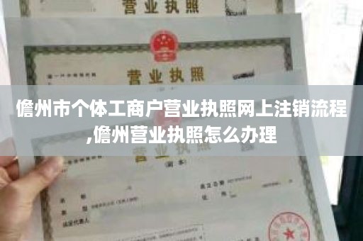 儋州市个体工商户营业执照网上注销流程,儋州营业执照怎么办理